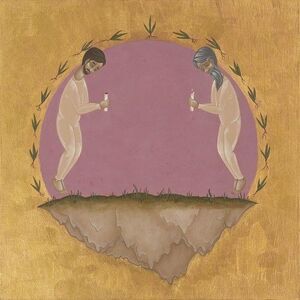 Hospital Ships - The Past Is Not A Flood  LP LP